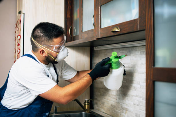 Best Best Pest Control Companies  in Mertzon, TX