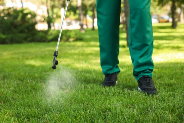 Best Pest Control Treatment  in Mertzon, TX